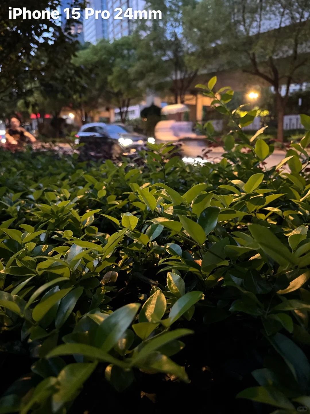 Indigo相机vs苹果原相机：消除锐化秒变CCD?