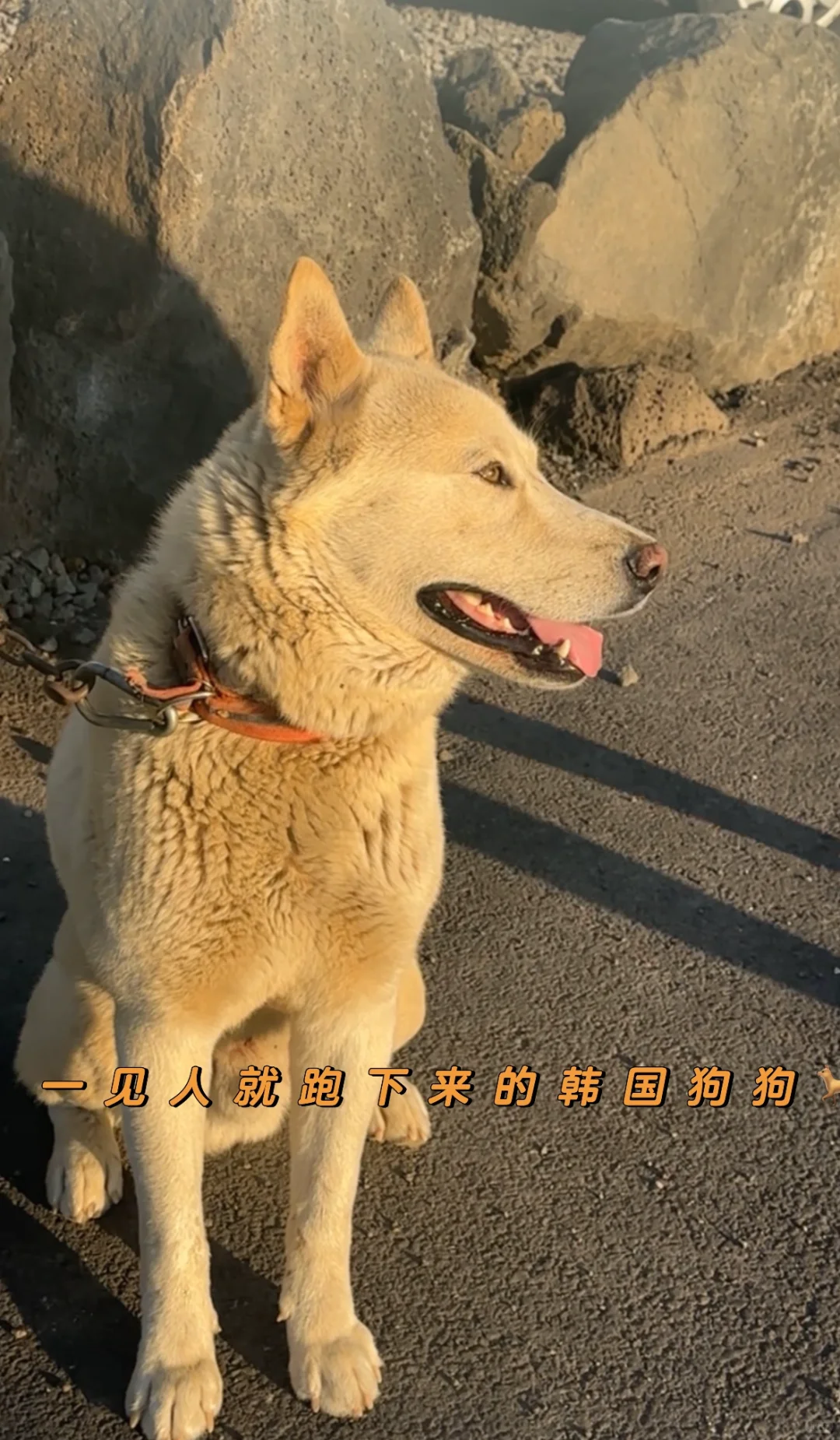 🌏 济州岛懒人包｜手机相册里的旅行全记录！