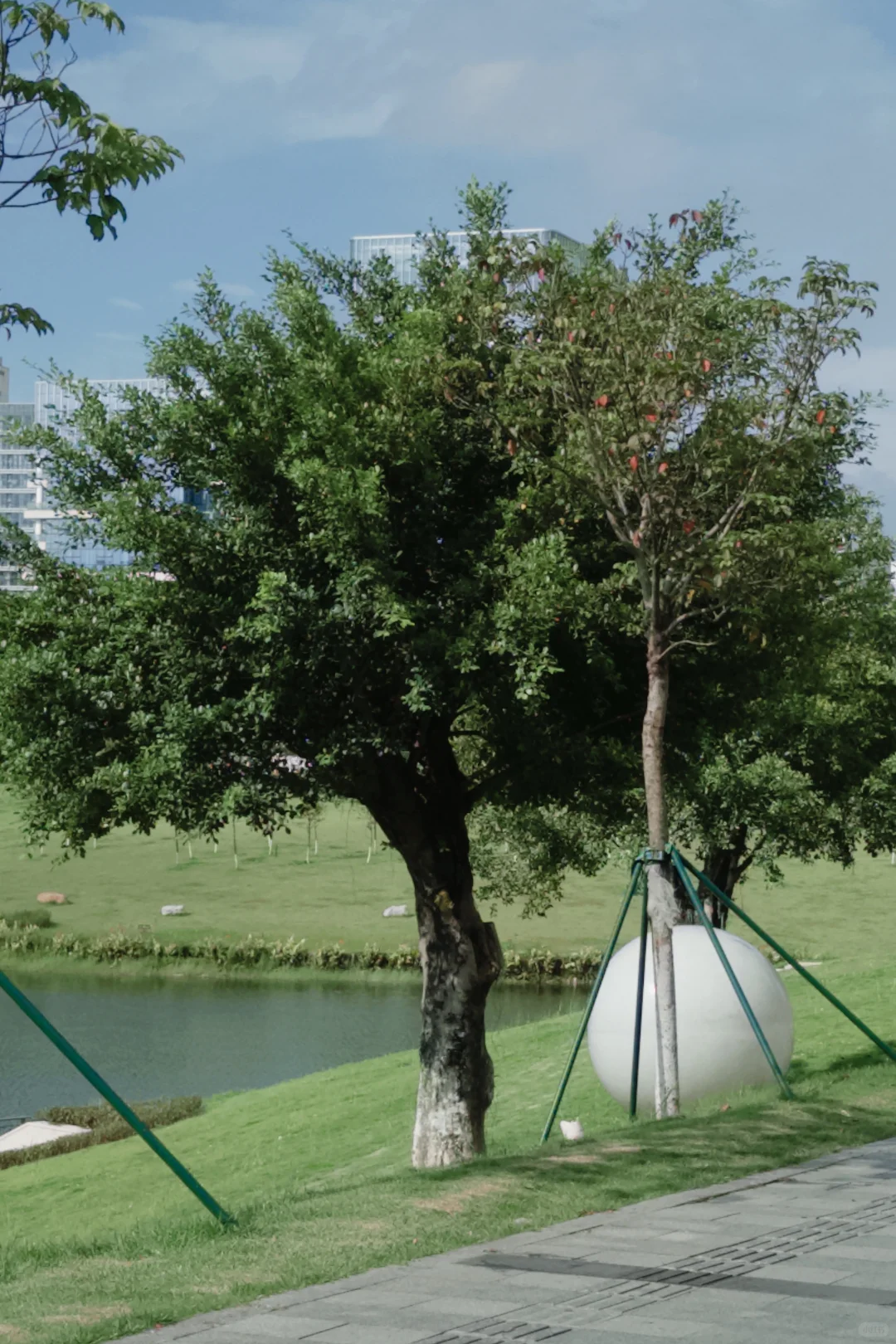 理光真的要被DAZZ取代了吗?