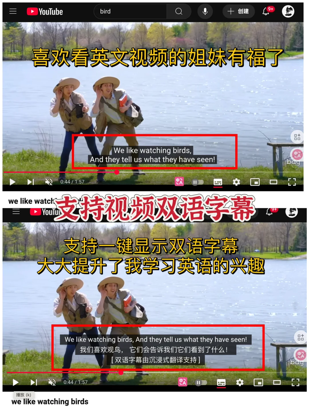 用了很久的翻译插件,确实好用❗️