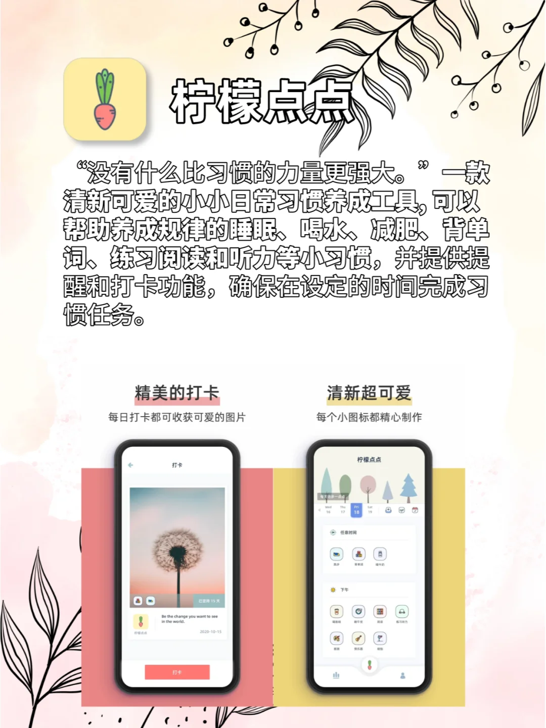 小众宝藏APP🎁每一个都能惊艳你🥑