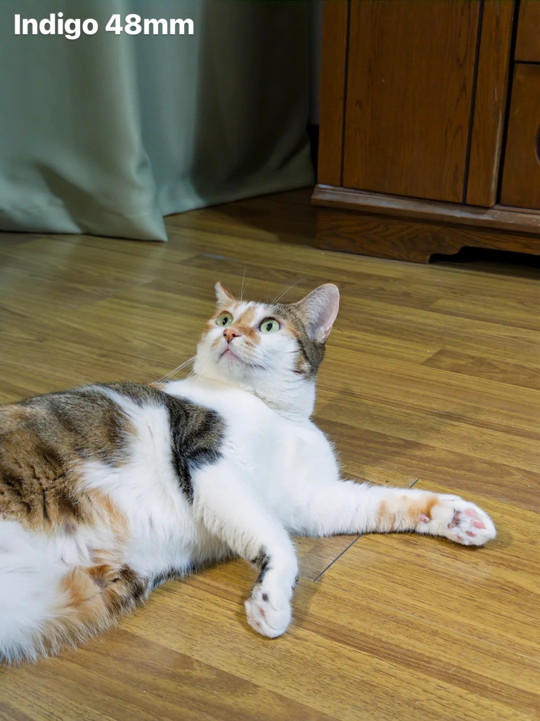 Indigo相机vs苹果原相机：消除锐化秒变CCD?