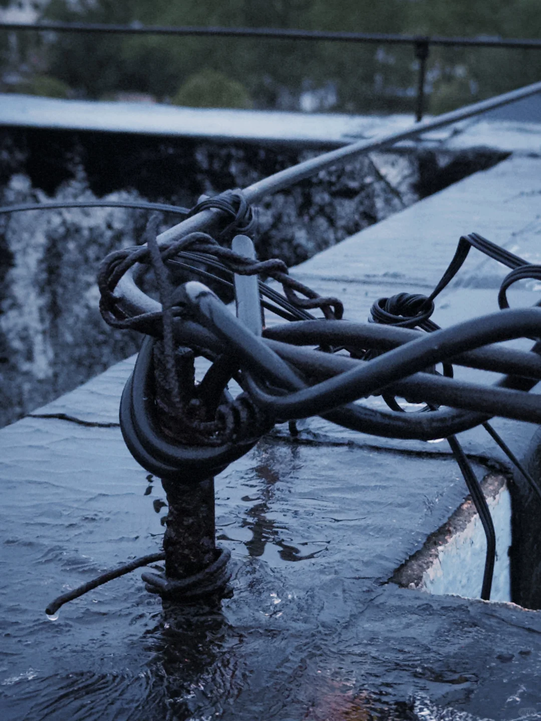 当我爱上Dazz相机📷