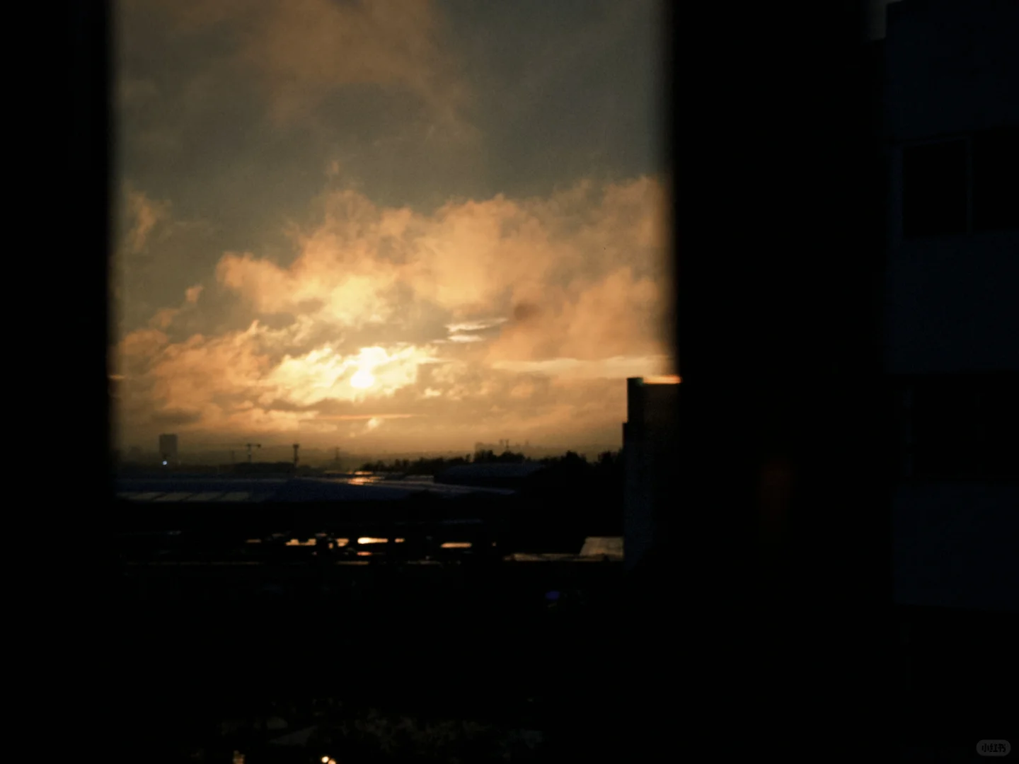 当我爱上Dazz相机📷