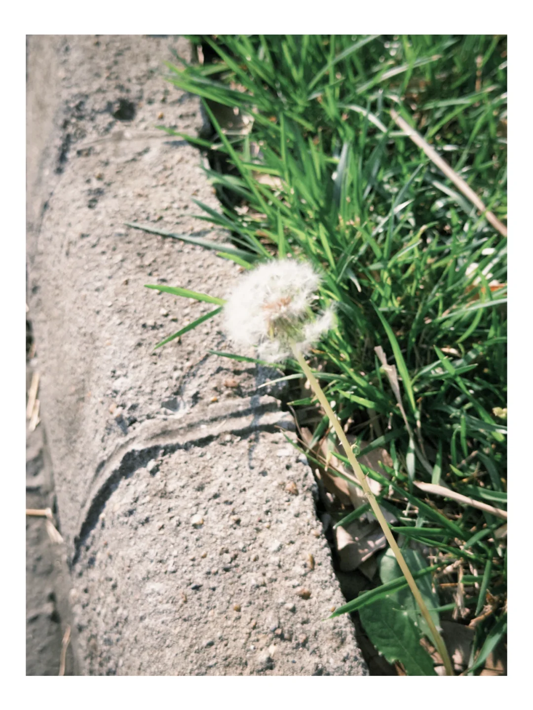 📷摄影博主的手机桌面分享｜上班路上也能拍