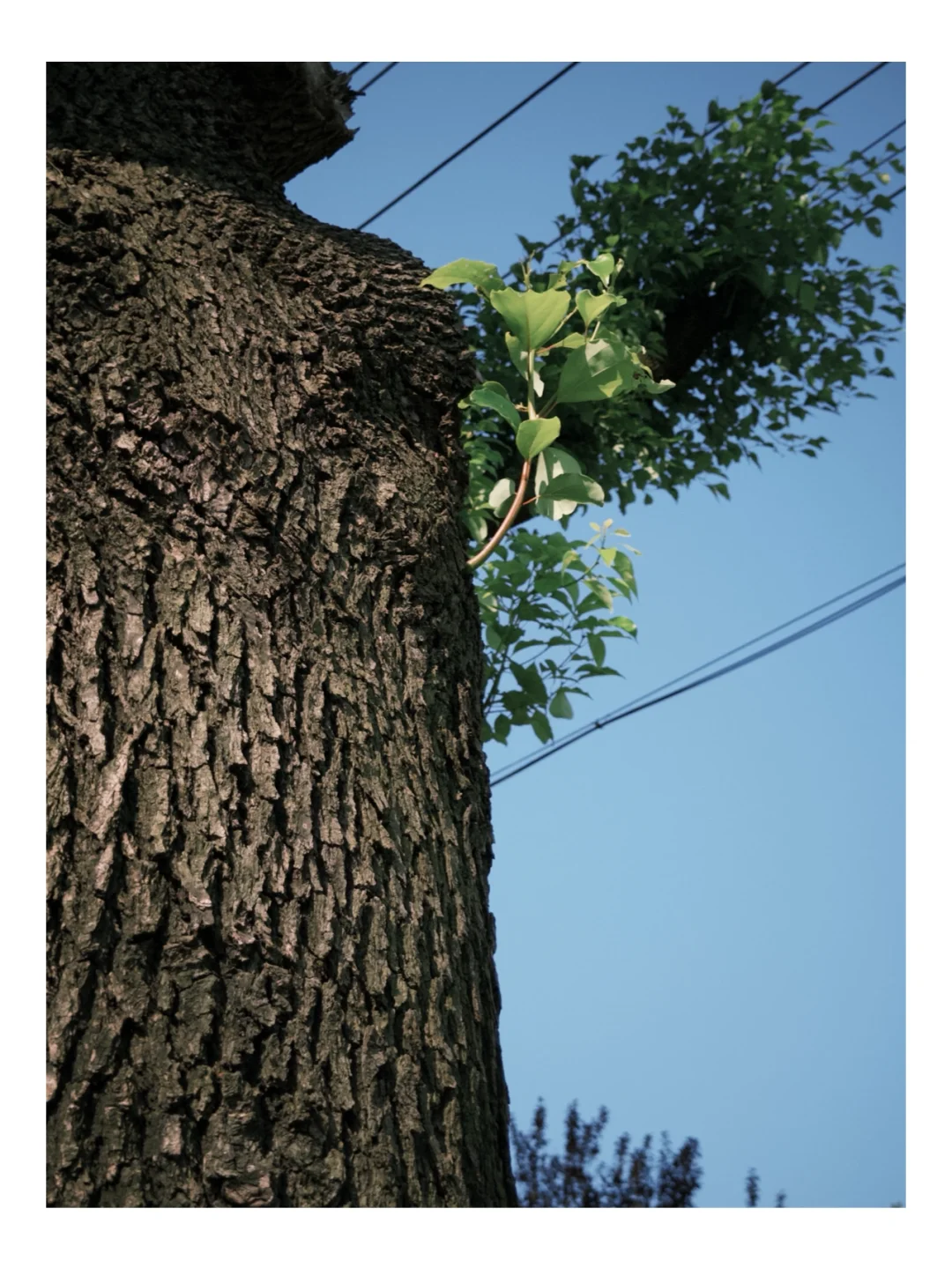 📷摄影博主的手机桌面分享｜上班路上也能拍