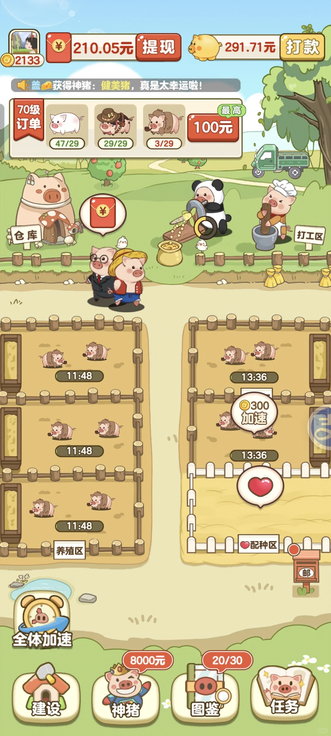 玩猪猪的可以看过来啦