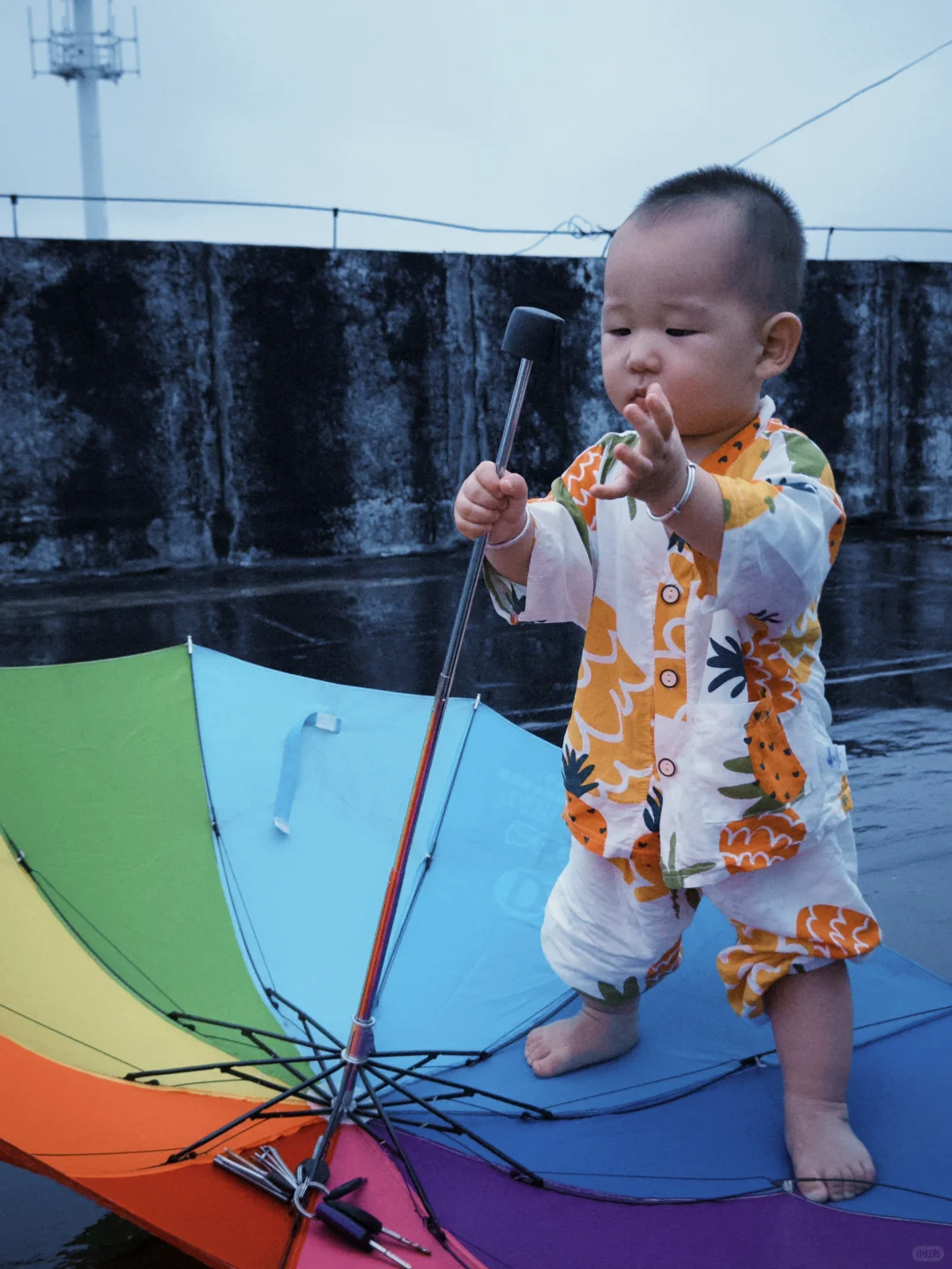 当我爱上Dazz相机📷