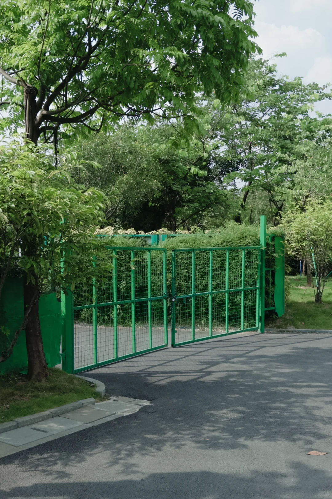 理光真的要被DAZZ取代了吗?