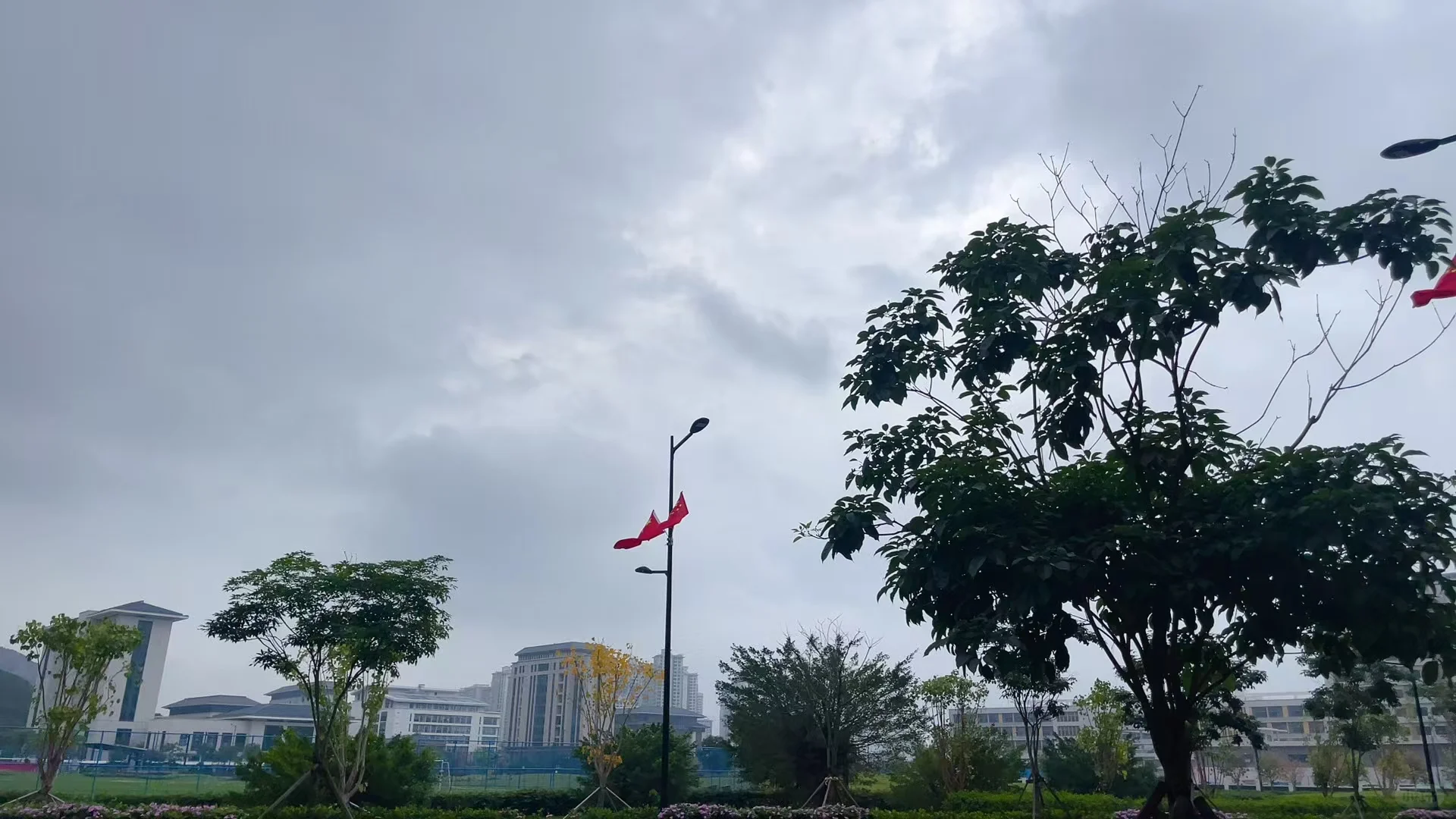 大家好我是一名心理咨询师，免费给大家咨询