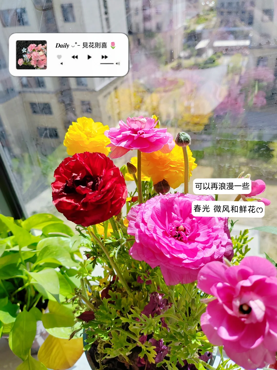 挑战测评100款🧱钱软件—第四款