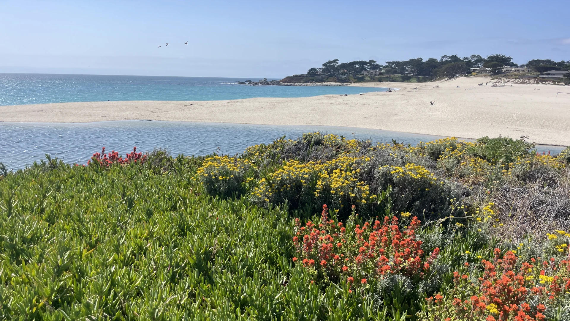 别再把时间和感情浪费在Dating App上了