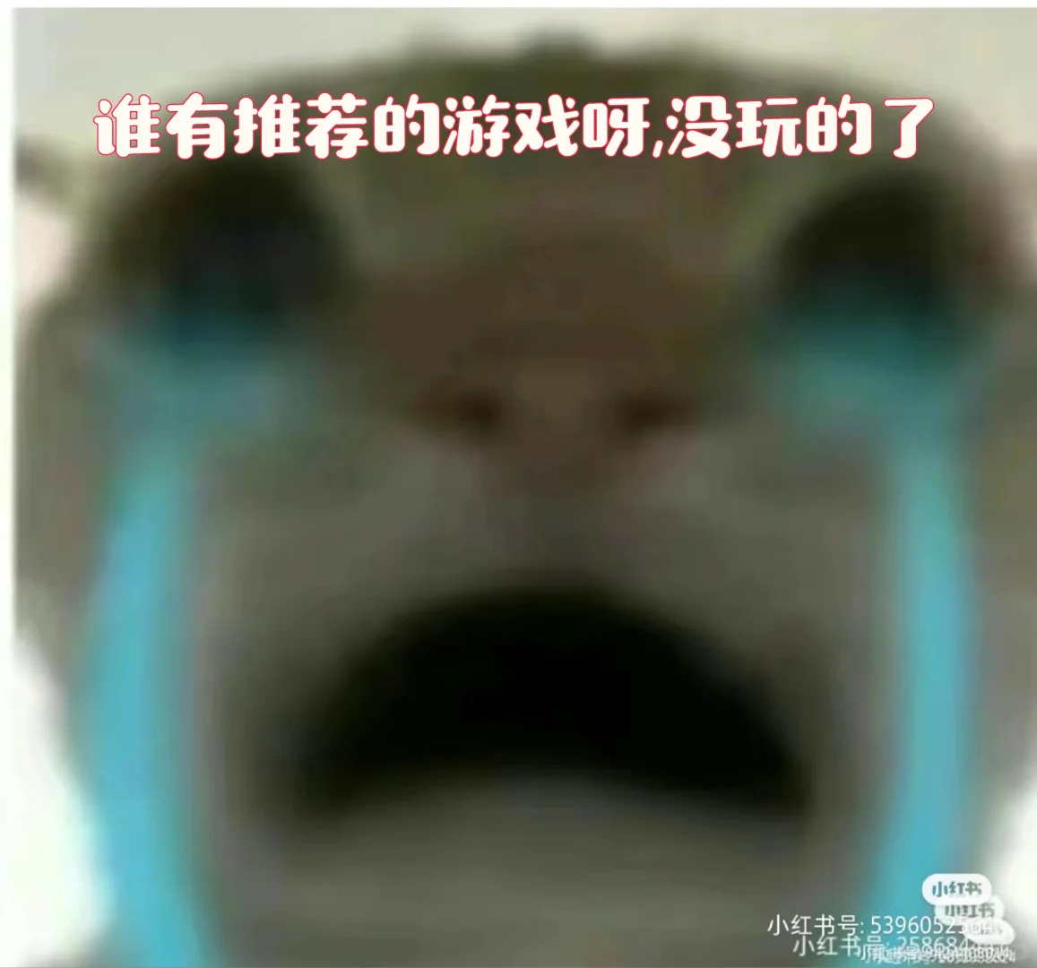 谁有推荐的游戏