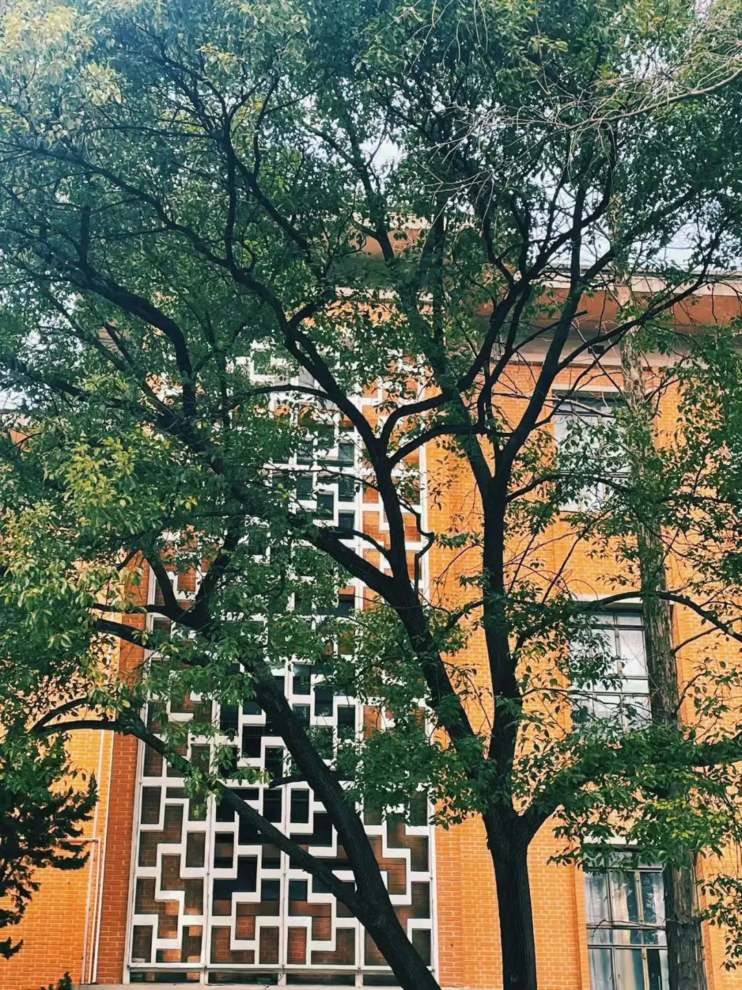 太害人了!是谁教你们这样录音咨询过程的