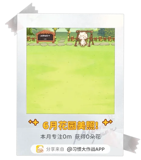 专注旅程的见证者