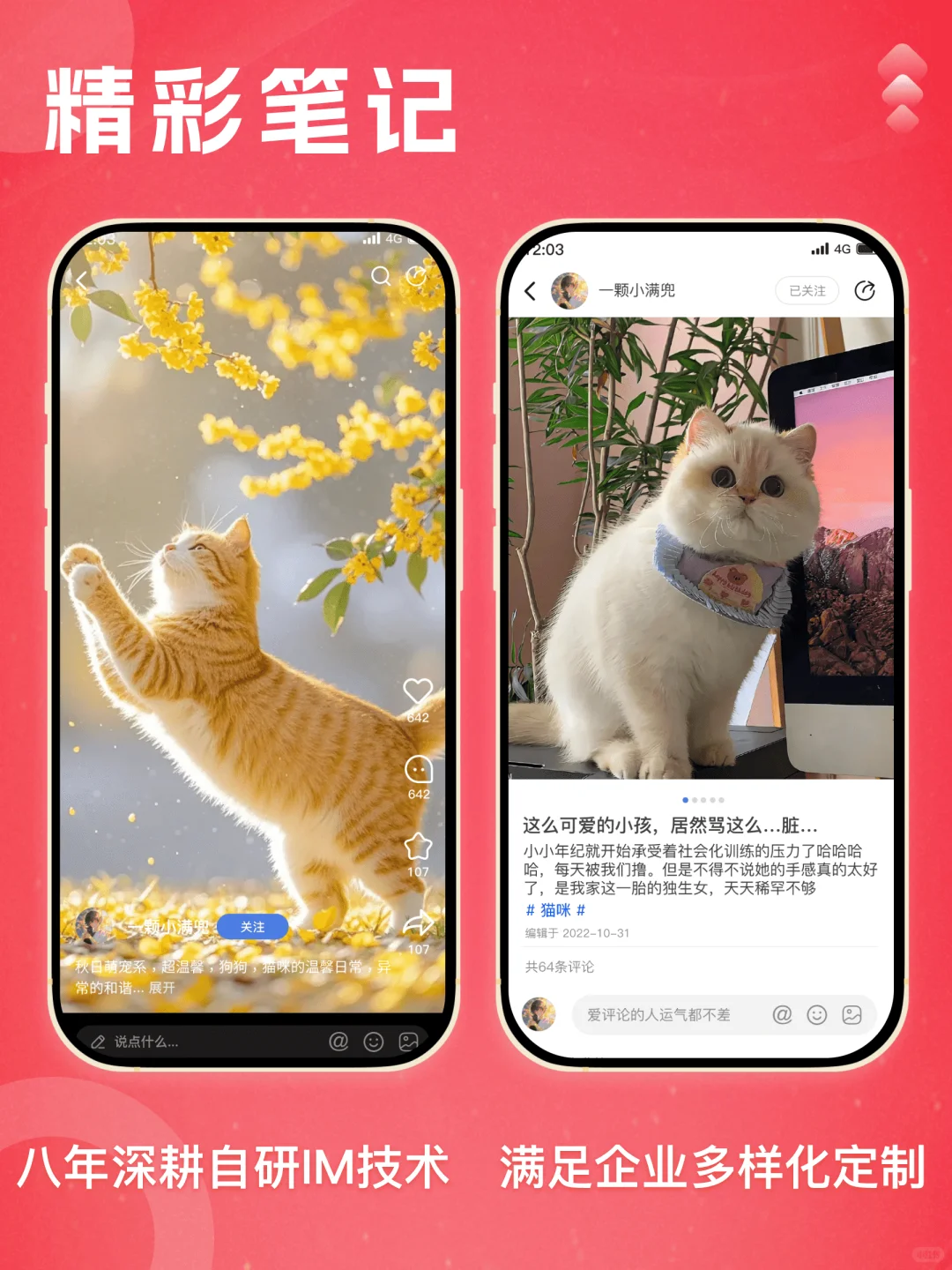 仿小红书社交系统开发/自研IM/集群部署