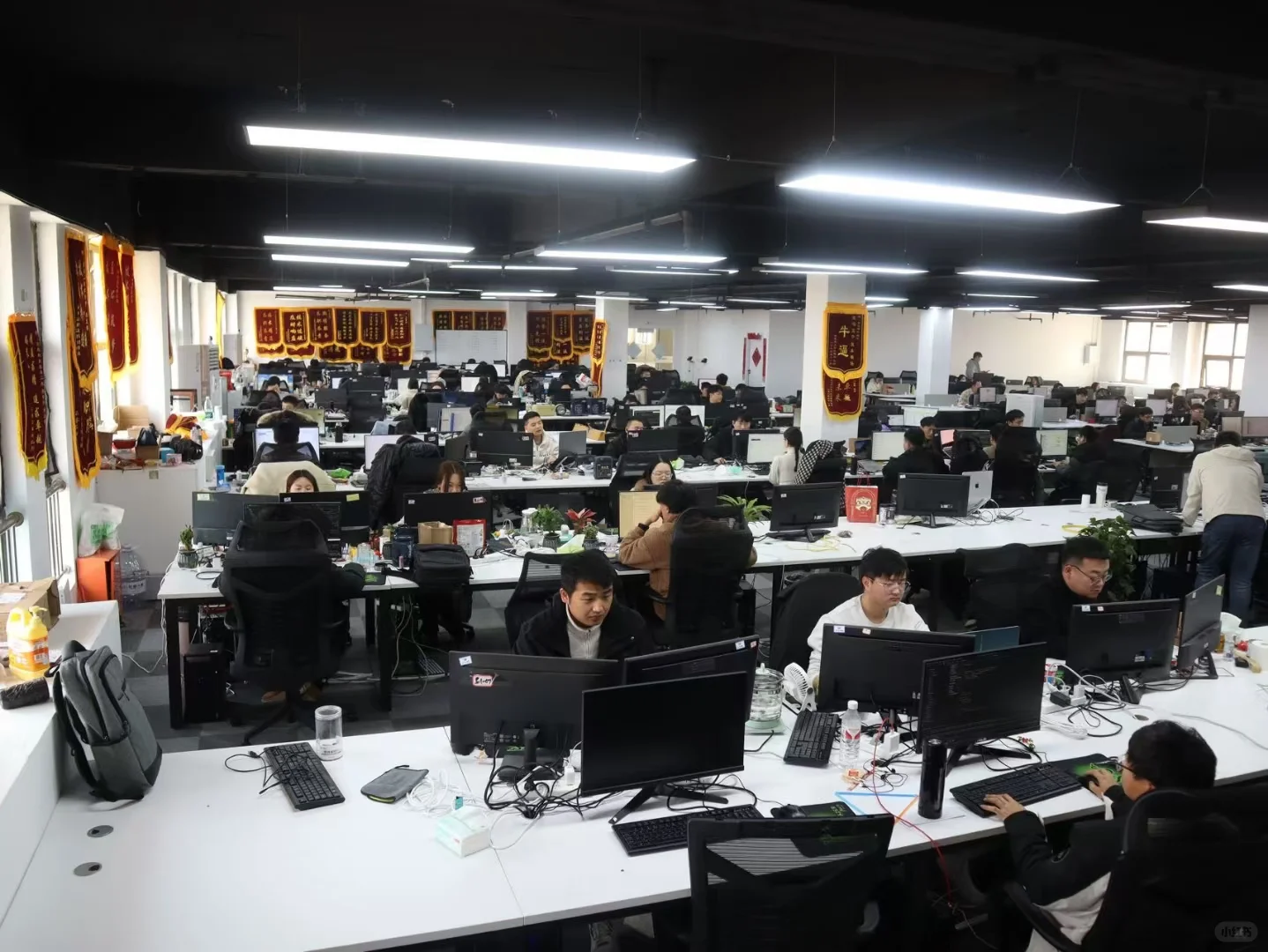 做软件，我们买了一栋楼