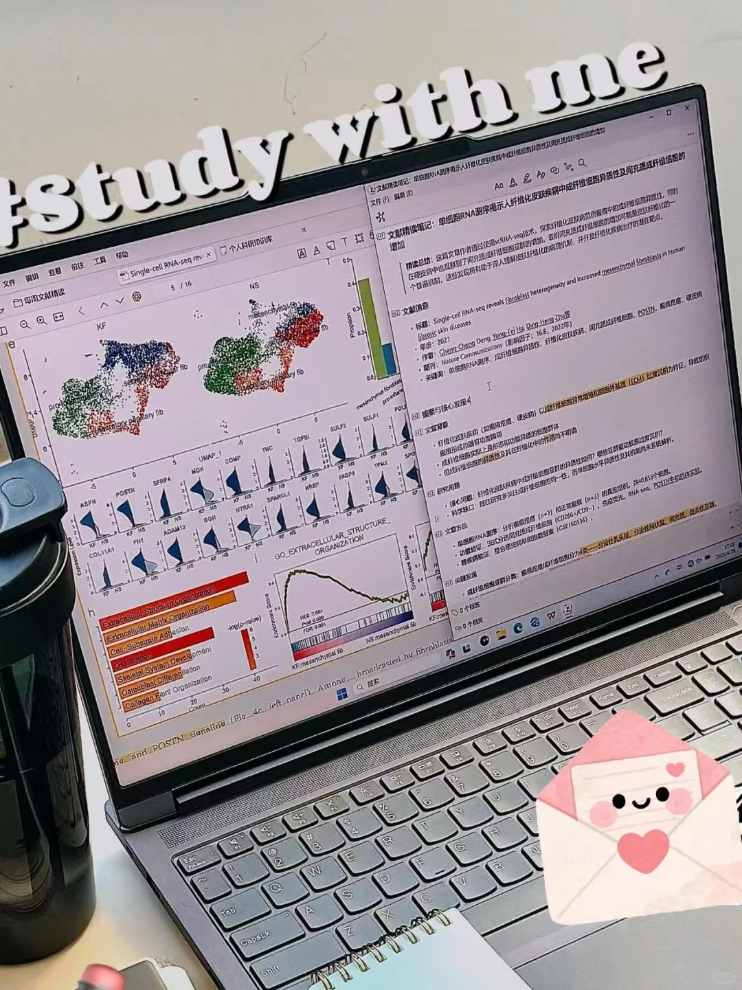 用R做单细胞测序，终于跑成功了！