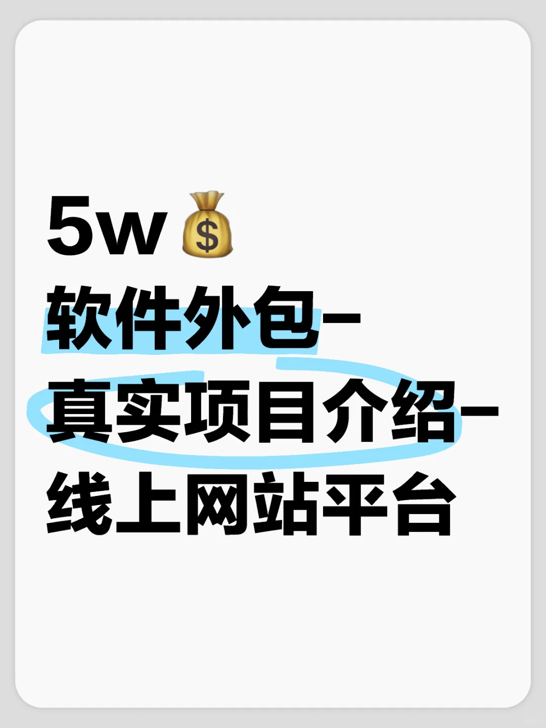 5w💰软件外包-真实项目介绍-线上网站平台