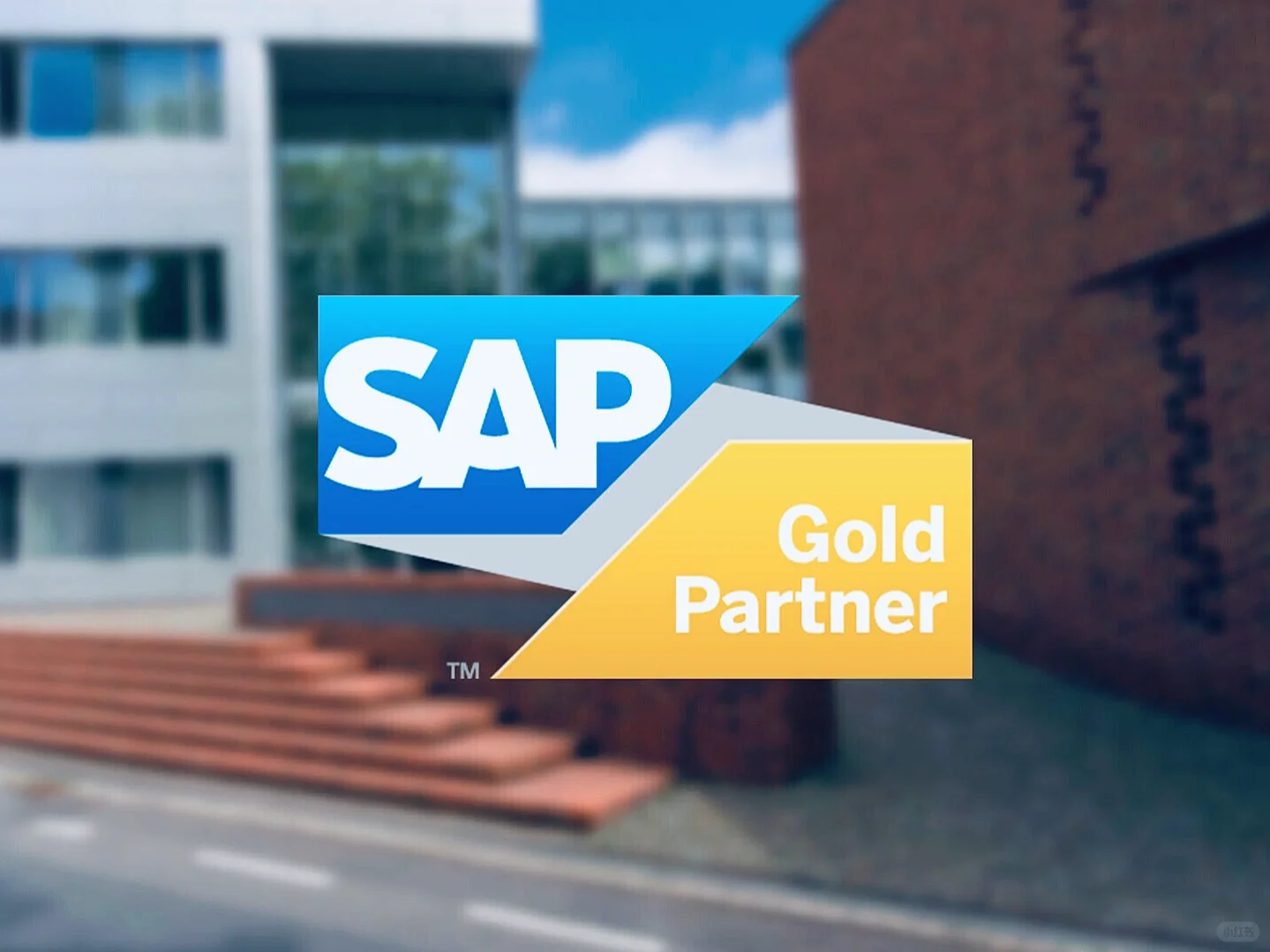 🇩🇪德国的SAP大神们，求支招