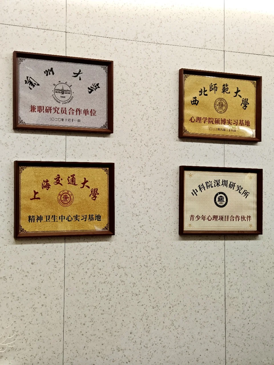 单身焦虑的人进！看看心理咨询师说的这些话