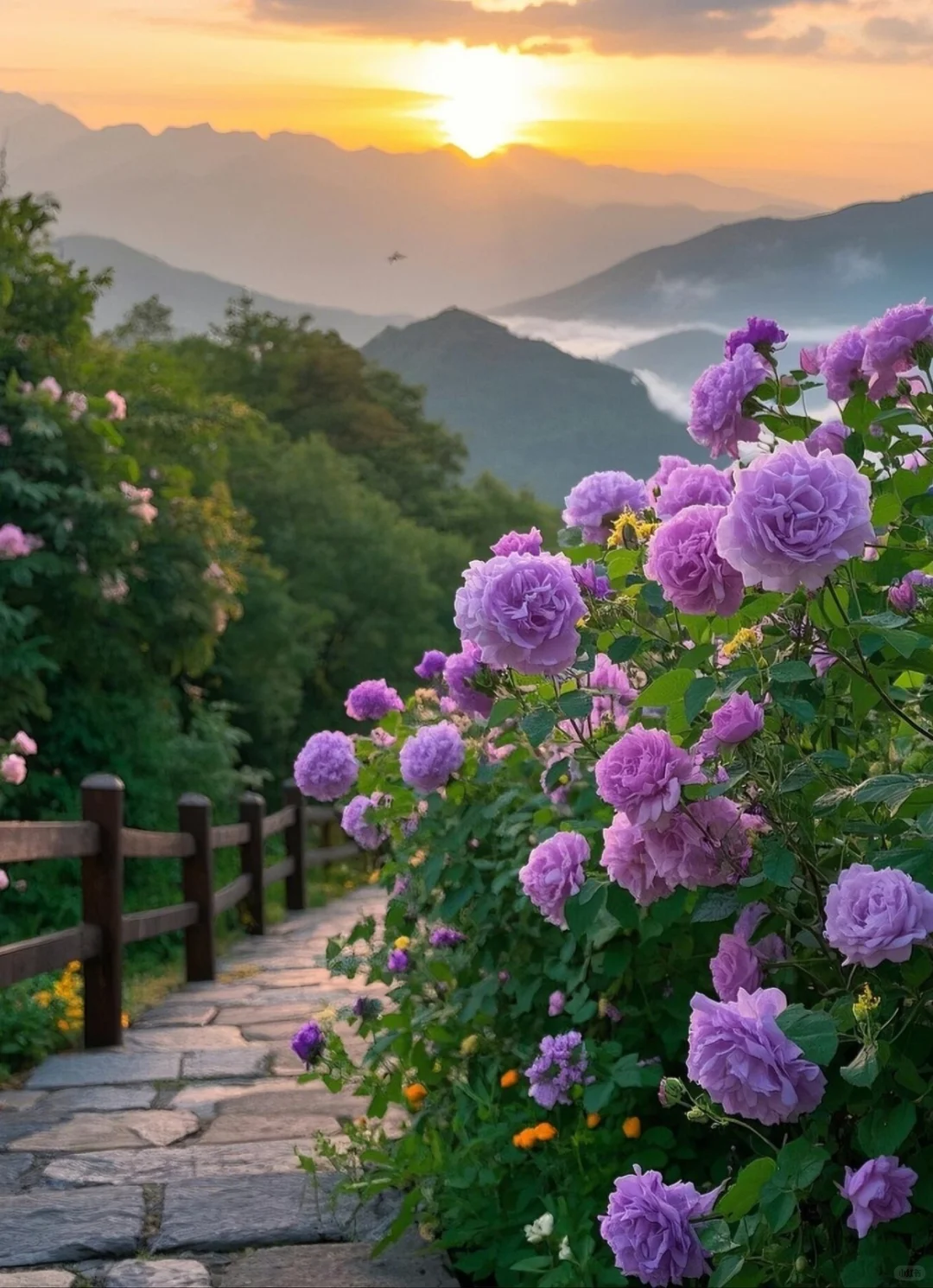 新手咨询师对练,跨越不敢,突破限制