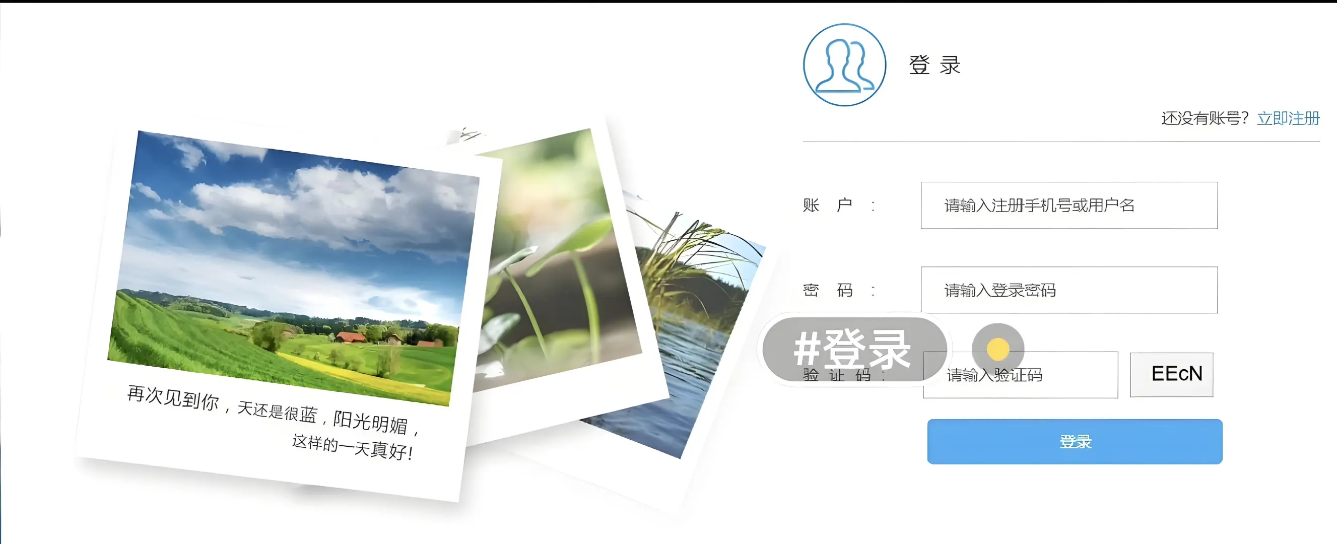 知识图谱项目，优质源码项目，可运行1.基