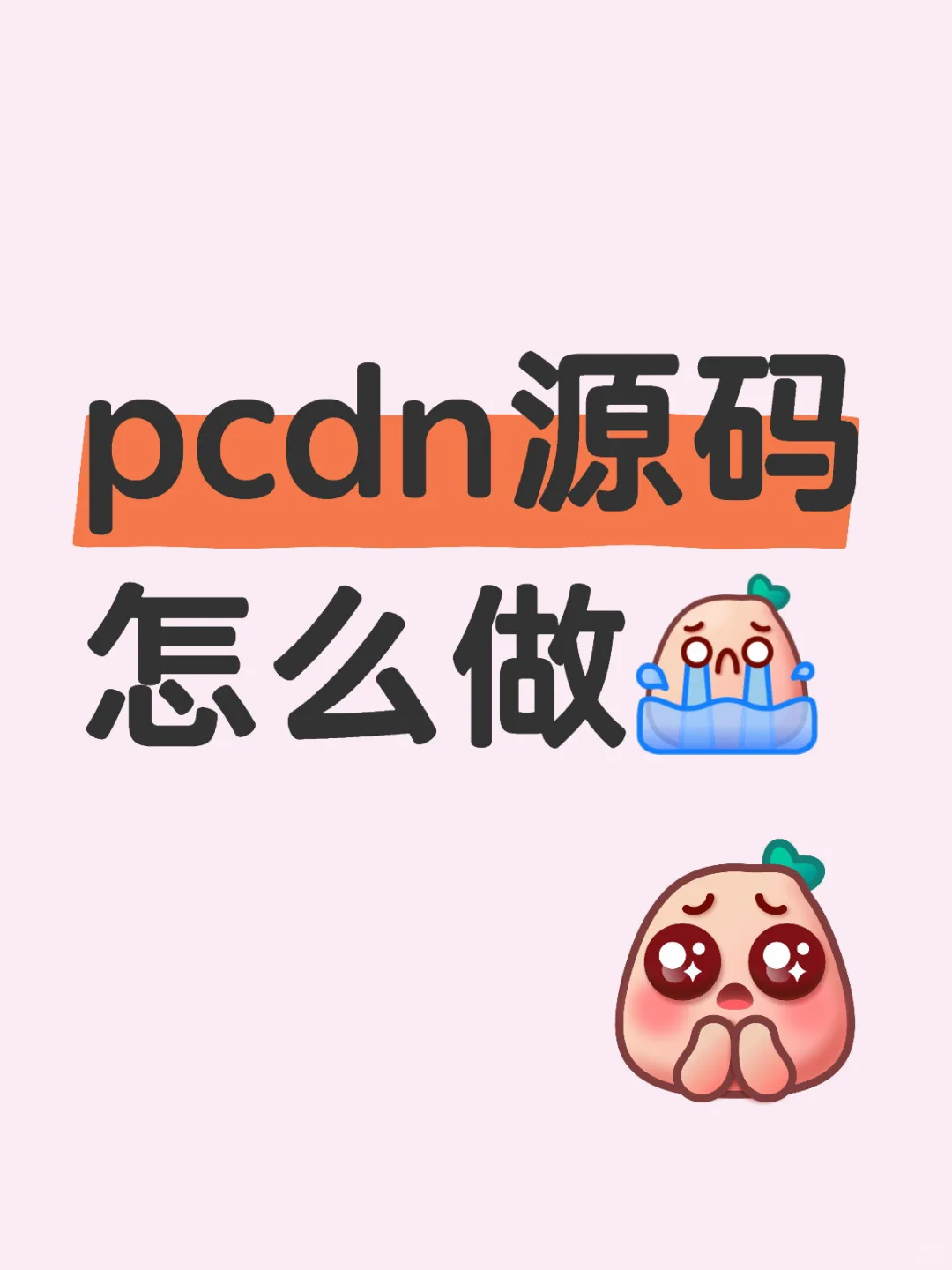pcdn源码怎么做
