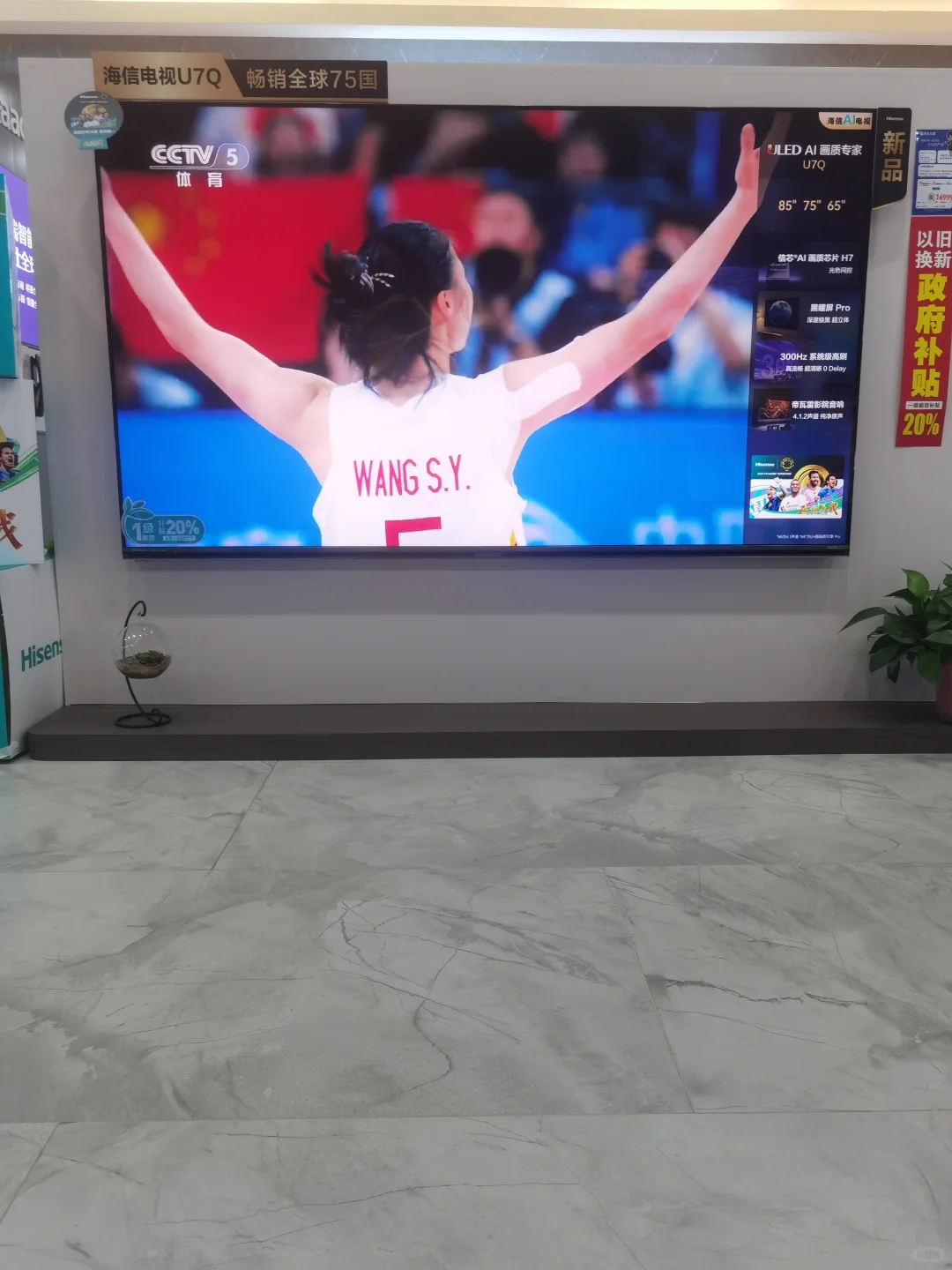 用网络电视看央视卫视直播的方法