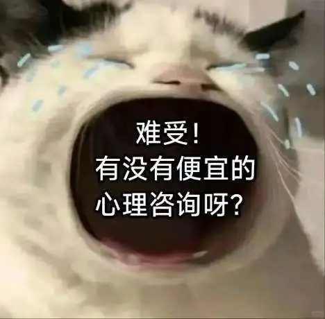 难受！有没有便宜的心理咨询呀？