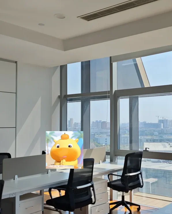 公司来了个半吊子运营,每天上班全靠百度