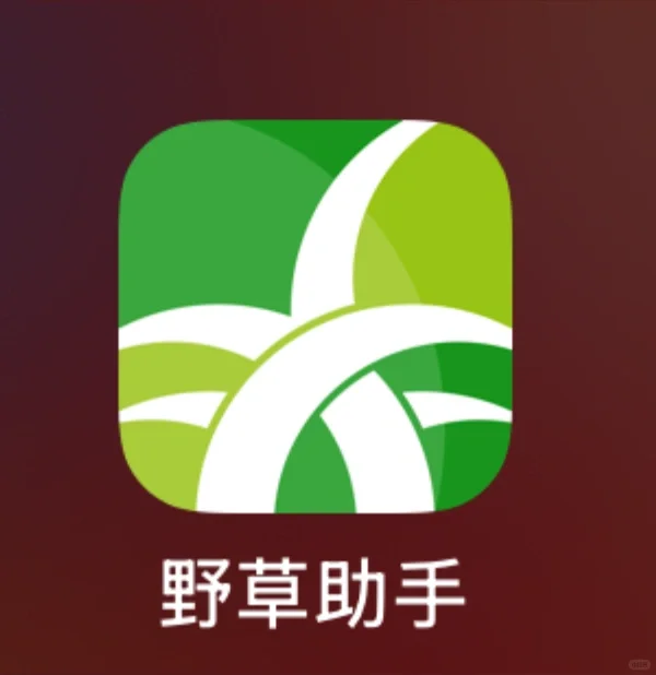 电视第三方软件我悟了