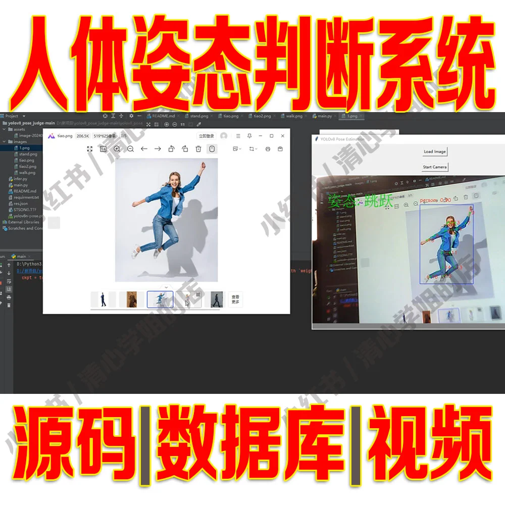 YOLOv8人体姿态判断opencv模型python源码