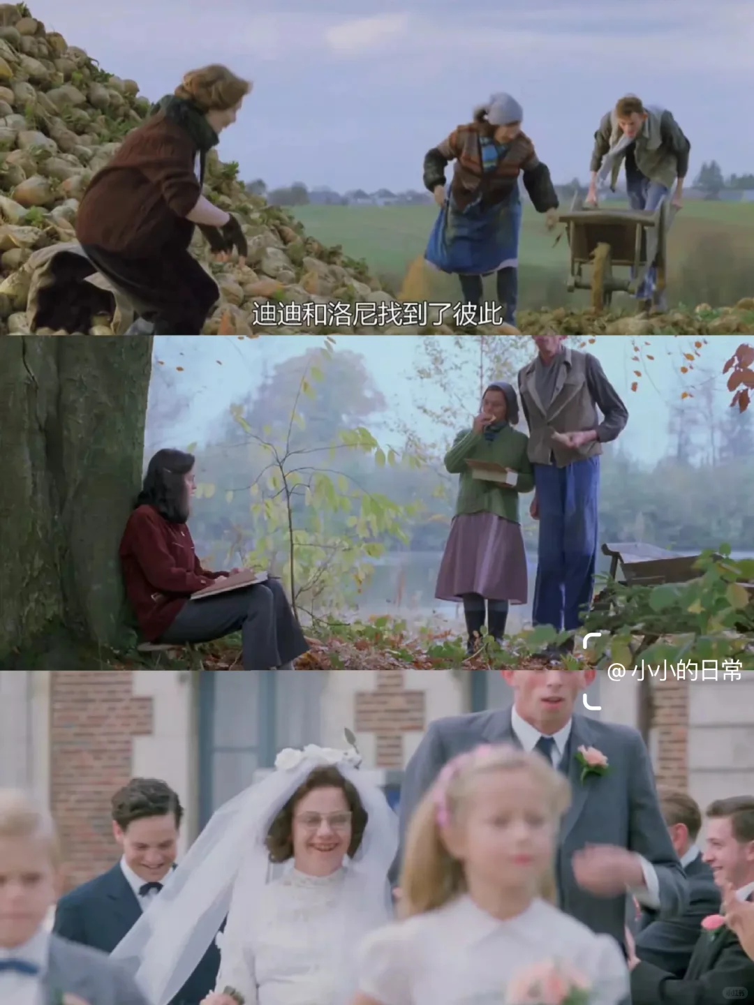 看到了近10年最爱的人生电影，没有之一‼️