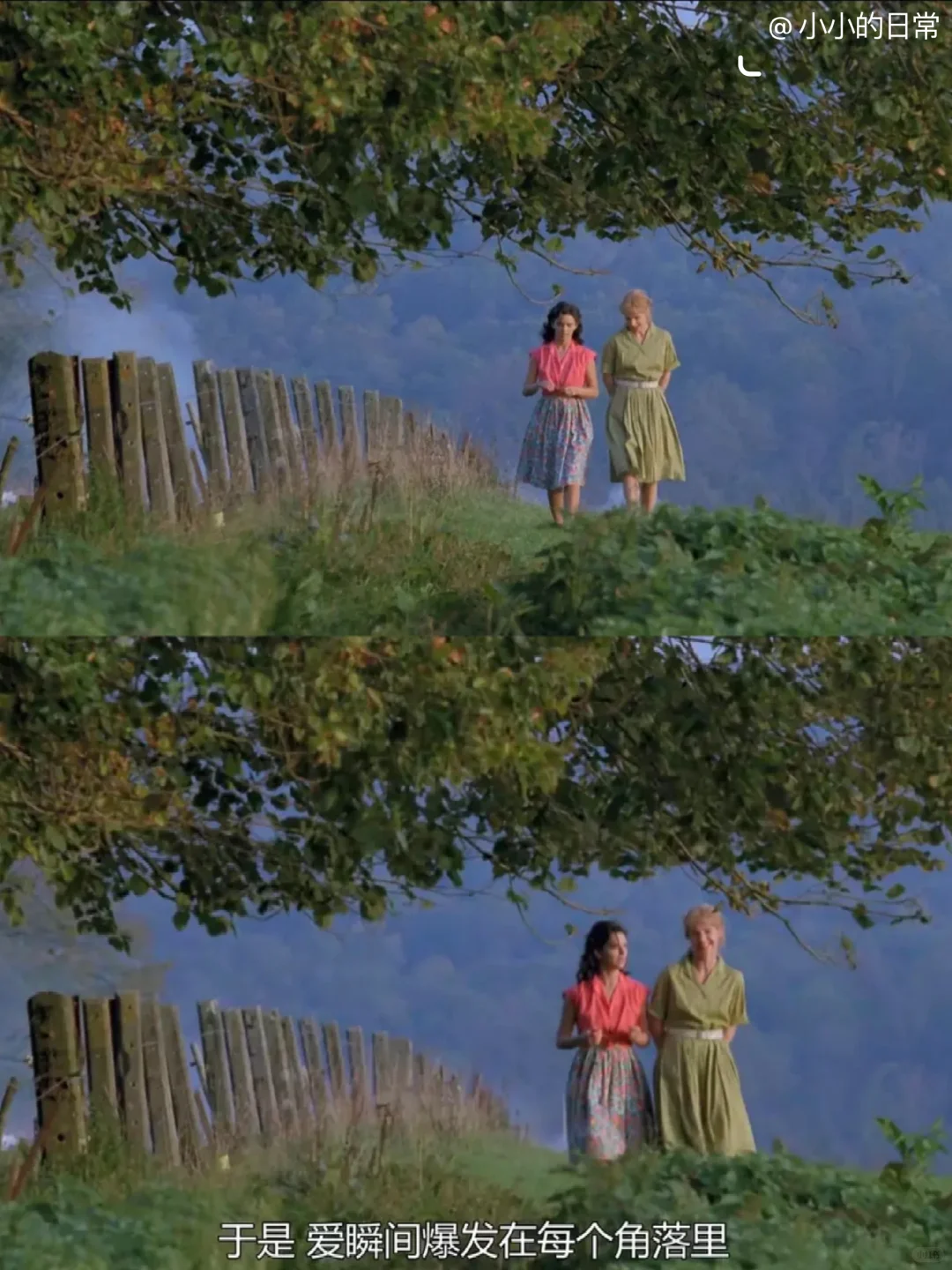 看到了近10年最爱的人生电影，没有之一‼️