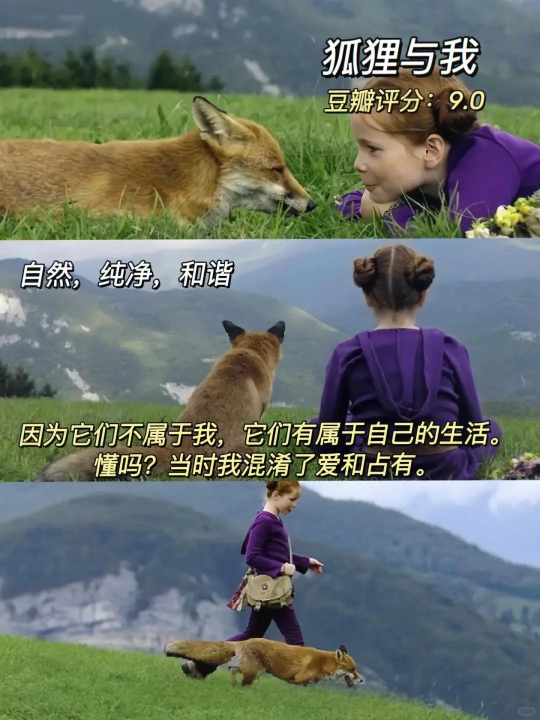 这几天真的被电影治愈到了～