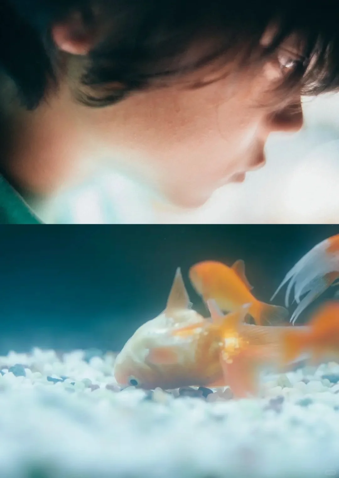 后劲太大了😭是枝裕和最佳的一部电影‼️