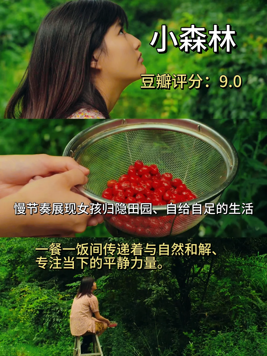 当你焦虑内耗时，一定要看完这🔟部影片