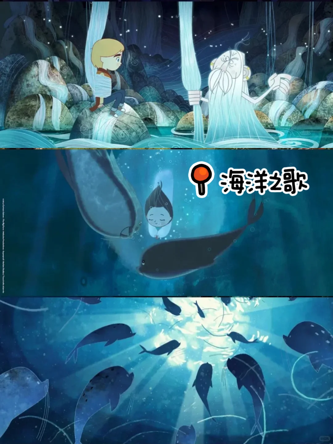 画面超美的，8部小众动画电影🔥