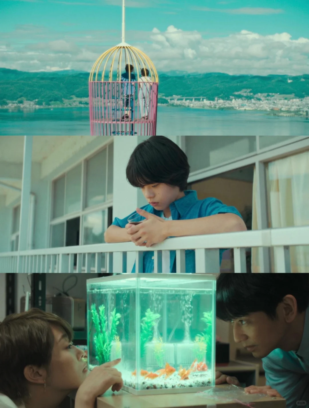 后劲太大了😭是枝裕和最佳的一部电影‼️