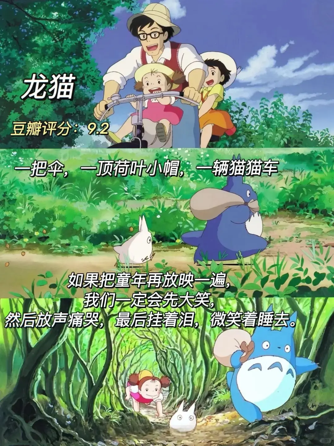 这一部部电影治愈了我！