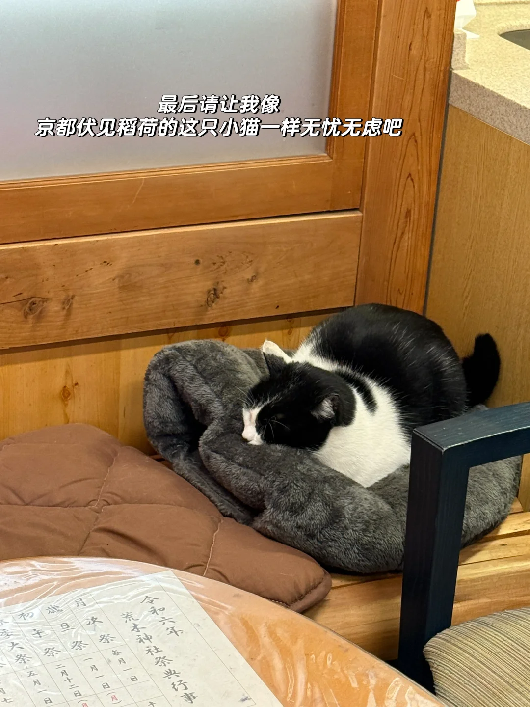 忽然发现英语学习软件可以当心理咨询用..