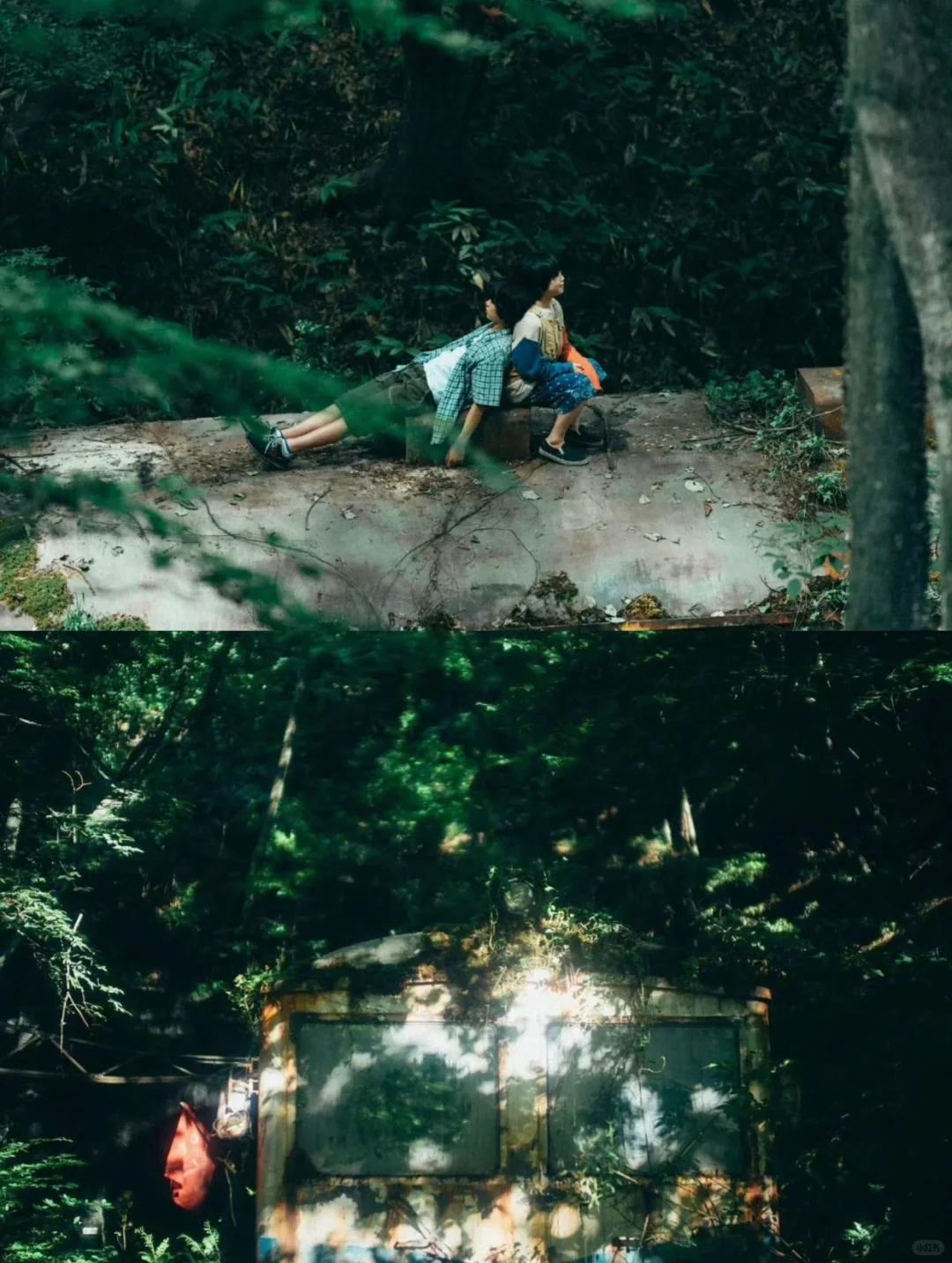 后劲太大了😭是枝裕和最佳的一部电影‼️