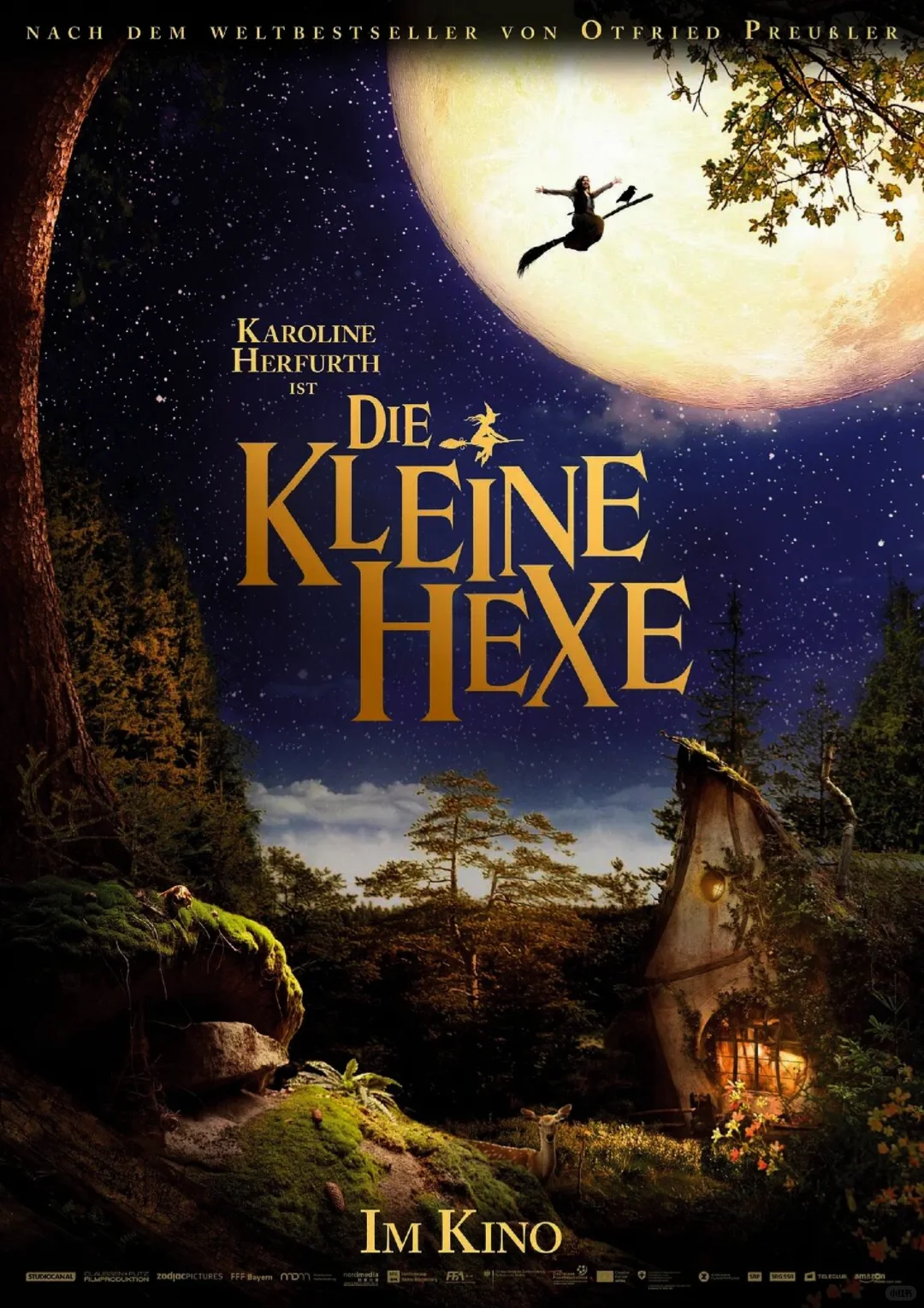 🔥9.0封神！童话新作，奇幻冒险！