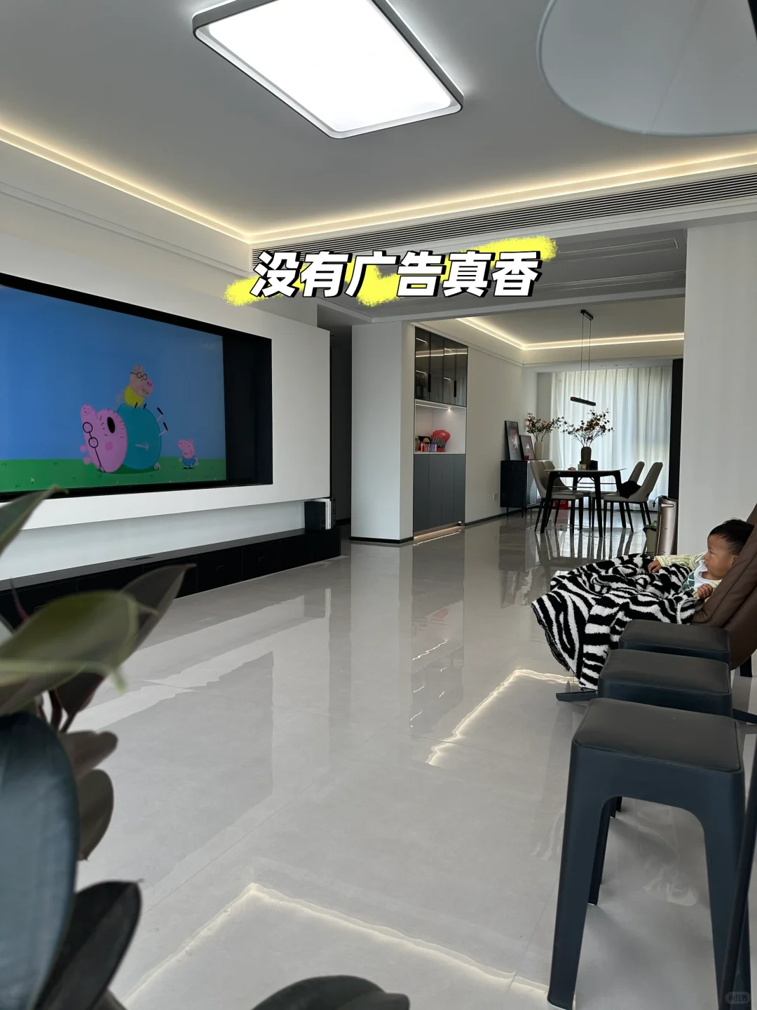 去年入手的雷鸟鹤6pro