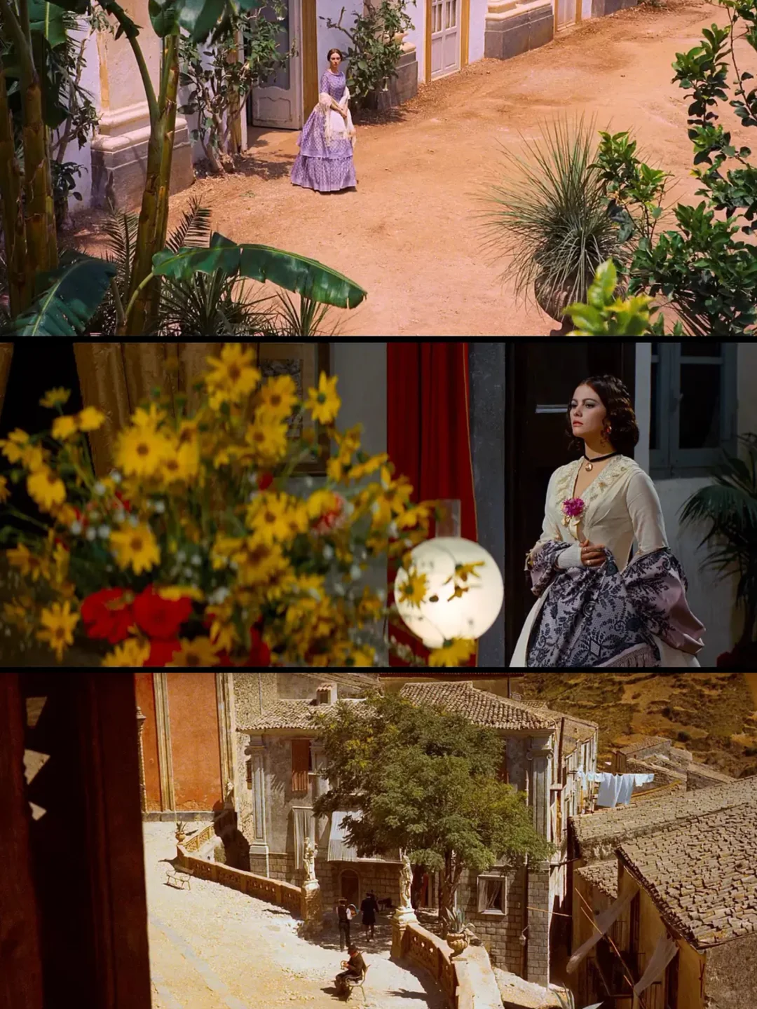 一部真正的贵族电影 从里贵到外的那种🎬