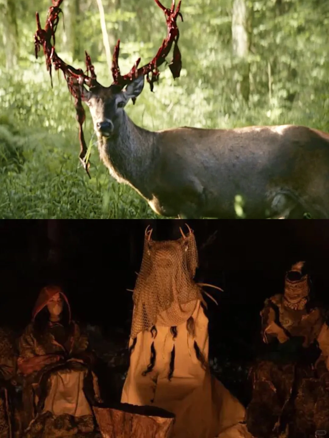 口碑炸裂‼️全员恶人🏴☠️这是能播的吗👀⁉️