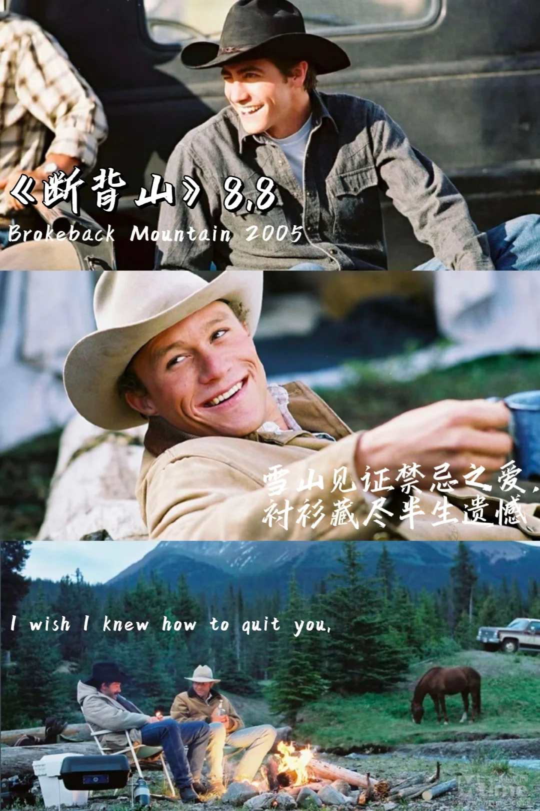 9️⃣部Be电影清单|遗憾美学天花板❗️