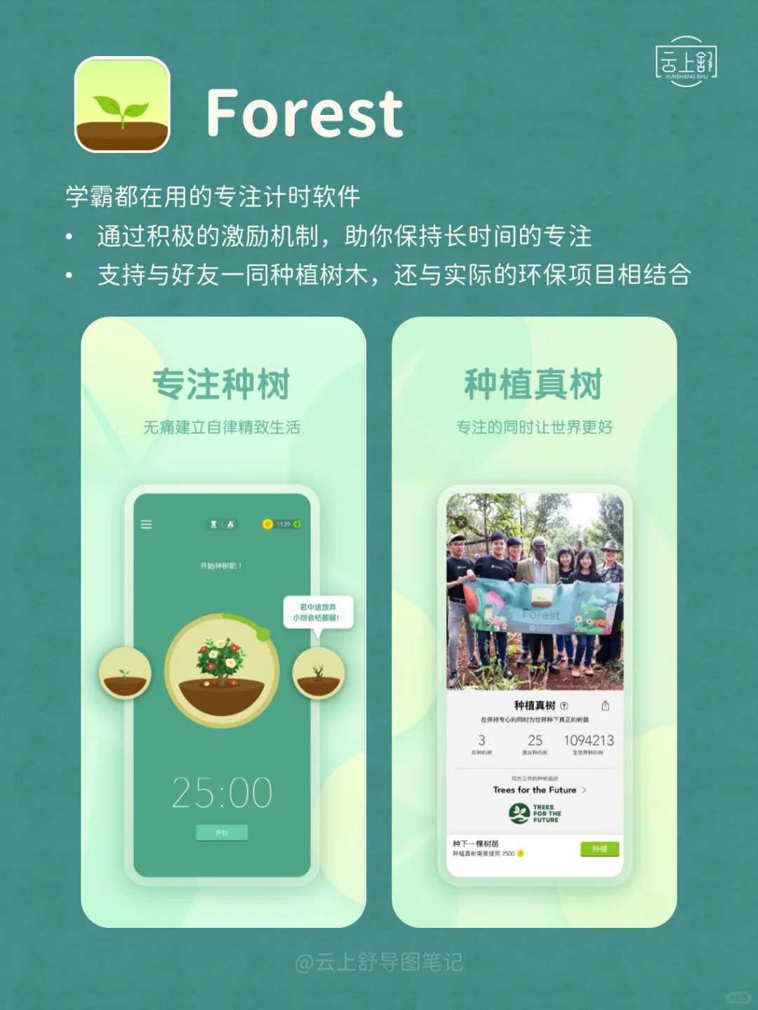 不再拖延！试试这9款超有效的自律APP 🚀