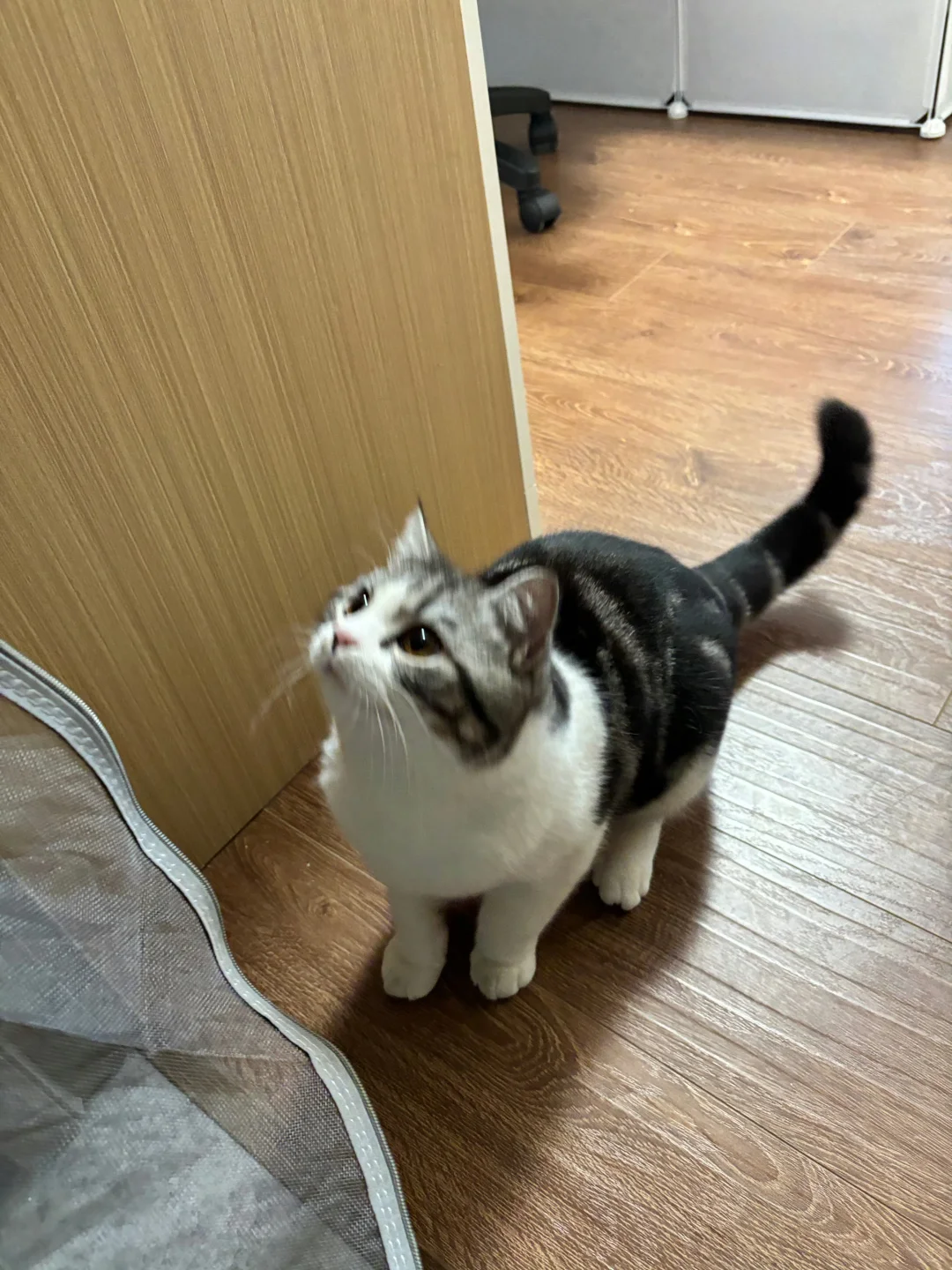 大无语🙄安卓转苹果……这些事怎么没人告诉我